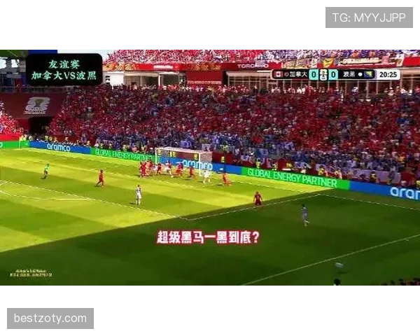波黑队为何被看好成为黑马